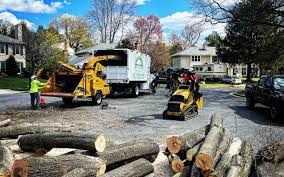 Best Commercial Tree Services  in Carey, ID