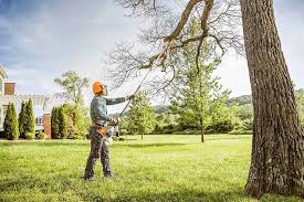 Best Lawn Maintenance Plans  in Carey, ID